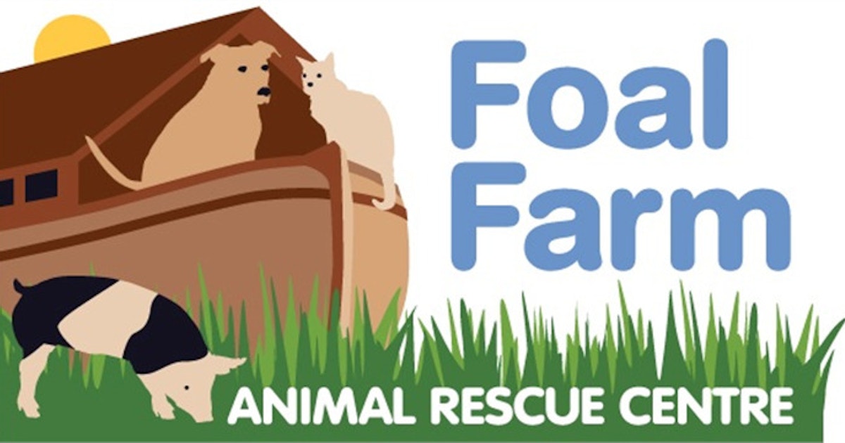 Foal Farm Animal Rescue Center | Thackray Williams